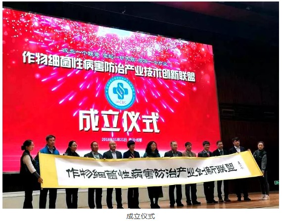 成立儀式.png 成立儀式.png