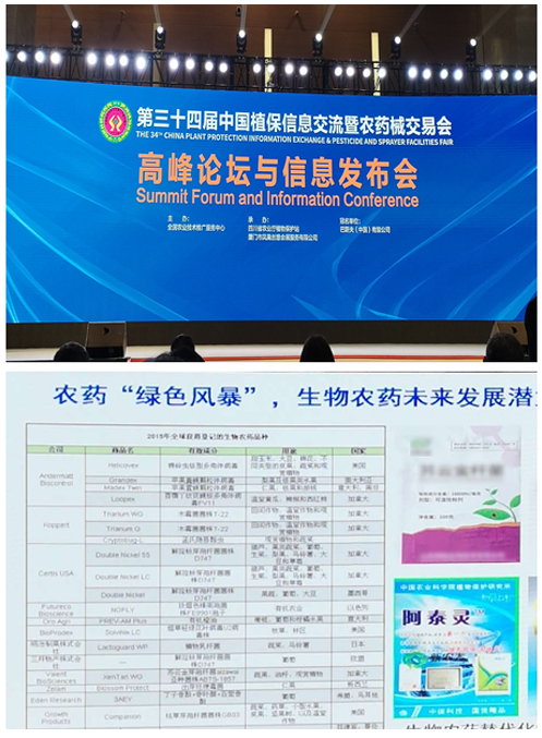 initpintu_副本2.jpg initpintu_副本2.jpg