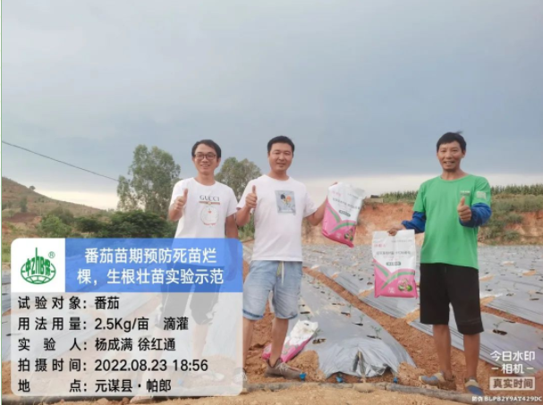 lQLPJxxUKKjKwXDNAcXNAl-w-AxjMXiTzCcEEL4H4sA7AA_607_453.png lQLPJxxUKKjKwXDNAcXNAl-w-AxjMXiTzCcEEL4H4sA7AA_607_453.png