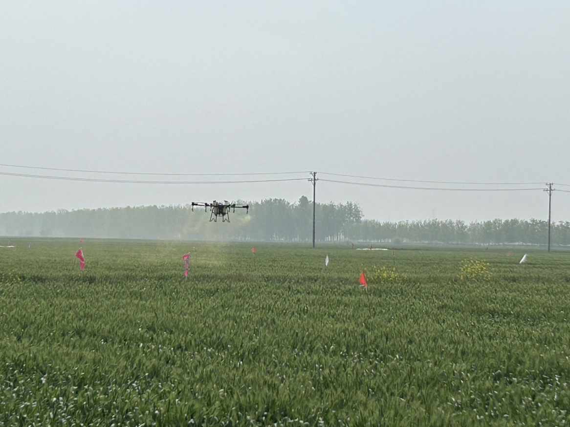 lQDPJyI563gDRu7NA2rNBI6wWEsDTH2zakcEOfQjuACyAA_1166_874.jpg lQDPJyI563gDRu7NA2rNBI6wWEsDTH2zakcEOfQjuACyAA_1166_874.jpg