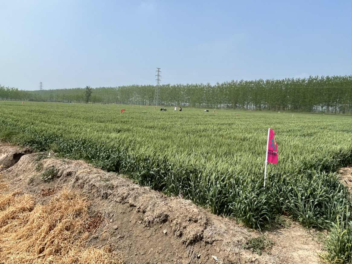 lQDPJw5d2FQ_4O7NA2rNBI6wtr6DkUpInqUEOfQXBEDNAA_1166_874.jpg lQDPJw5d2FQ_4O7NA2rNBI6wtr6DkUpInqUEOfQXBEDNAA_1166_874.jpg