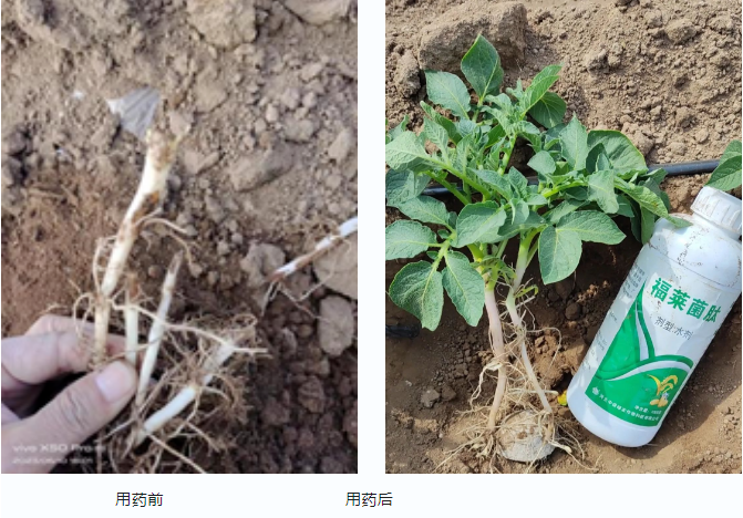 lQLPJyBOywujQDjNAdTNAp-wZ3O1sUKD_OIE12eCnoDxAA_671_468.png lQLPJyBOywujQDjNAdTNAp-wZ3O1sUKD_OIE12eCnoDxAA_671_468.png