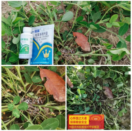 FA73016C-783E-40bc-98BE-FE372444130C.png FA73016C-783E-40bc-98BE-FE372444130C.png